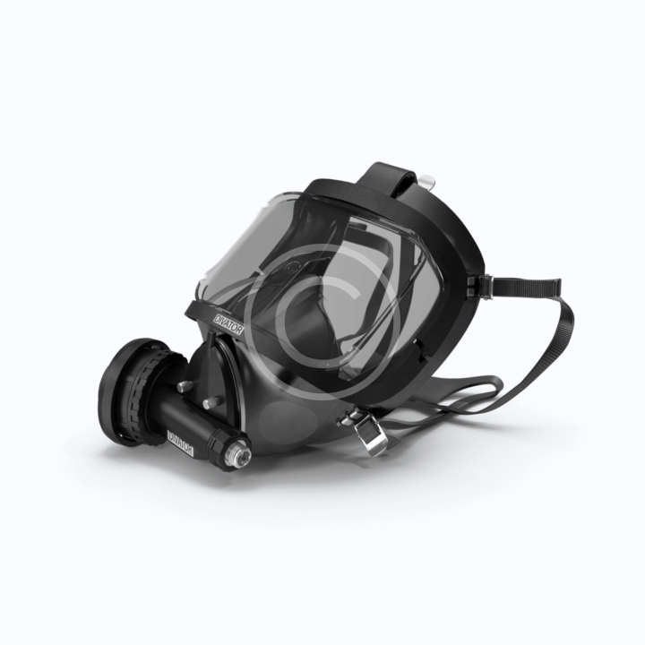 Panoramic Mask